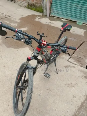 Phoenix Bicycle