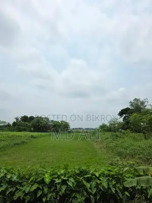 Plot for sale in Syedpur, Sirajdikhan, Munshiganj with roads on all sides