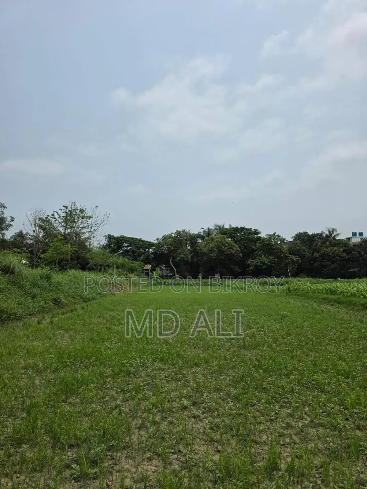 Plot for sale in Syedpur, Sirajdikhan, Munshiganj with roads on all sides