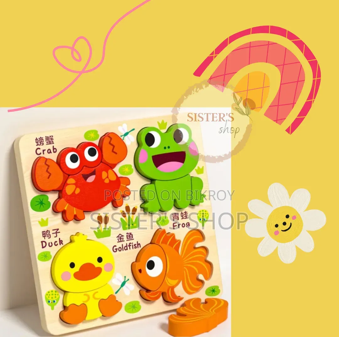 Montessori Toys