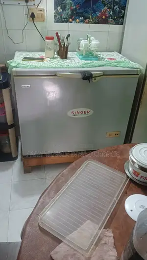 Singer 250 Liter Deep Freeze All Ok