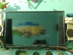 Walton 24" Tv