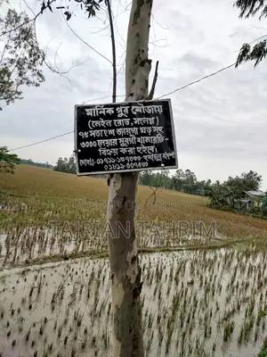 ৭৫ শতাংশের রেডি স্কয়ার সাইজ লেয়ার মুরগির ফার্ম (মেইনরোড সংলগ্ন)