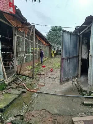 ৭৫ শতাংশের রেডি স্কয়ার সাইজ লেয়ার মুরগির ফার্ম (মেইনরোড সংলগ্ন)