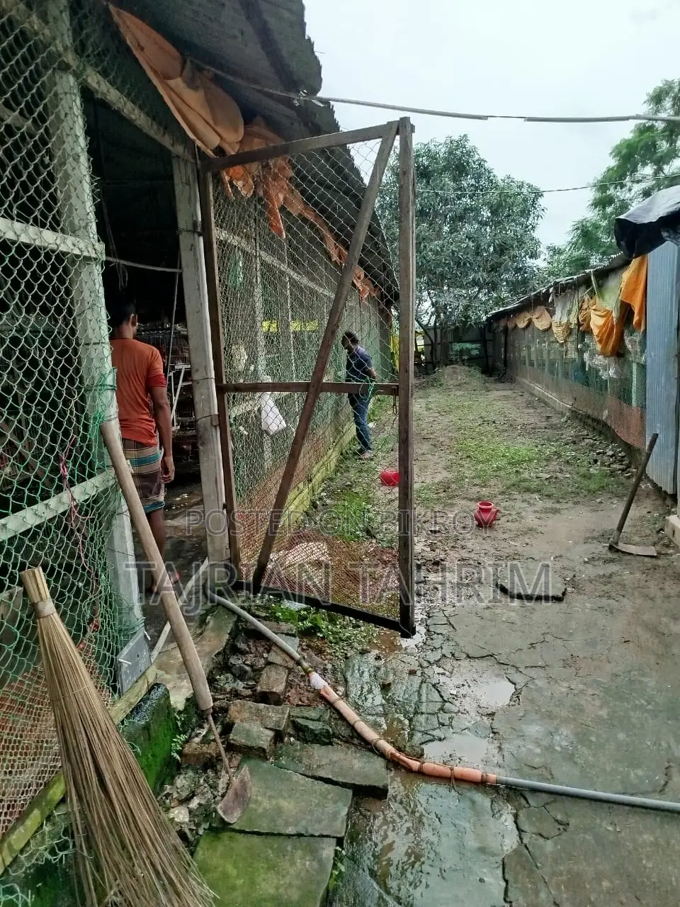 ৭৫ শতাংশের রেডি স্কয়ার সাইজ লেয়ার মুরগির ফার্ম (মেইনরোড সংলগ্ন)