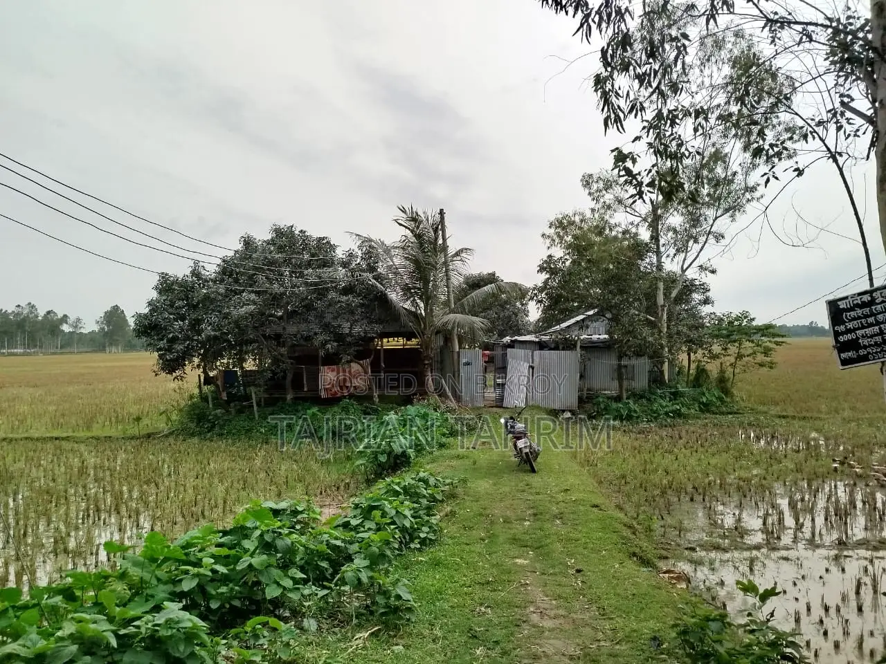 ৭৫ শতাংশের রেডি স্কয়ার সাইজ লেয়ার মুরগির ফার্ম (মেইনরোড সংলগ্ন)