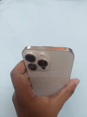 Apple iPhone 16 Pro Max 256 GB Rose Gold