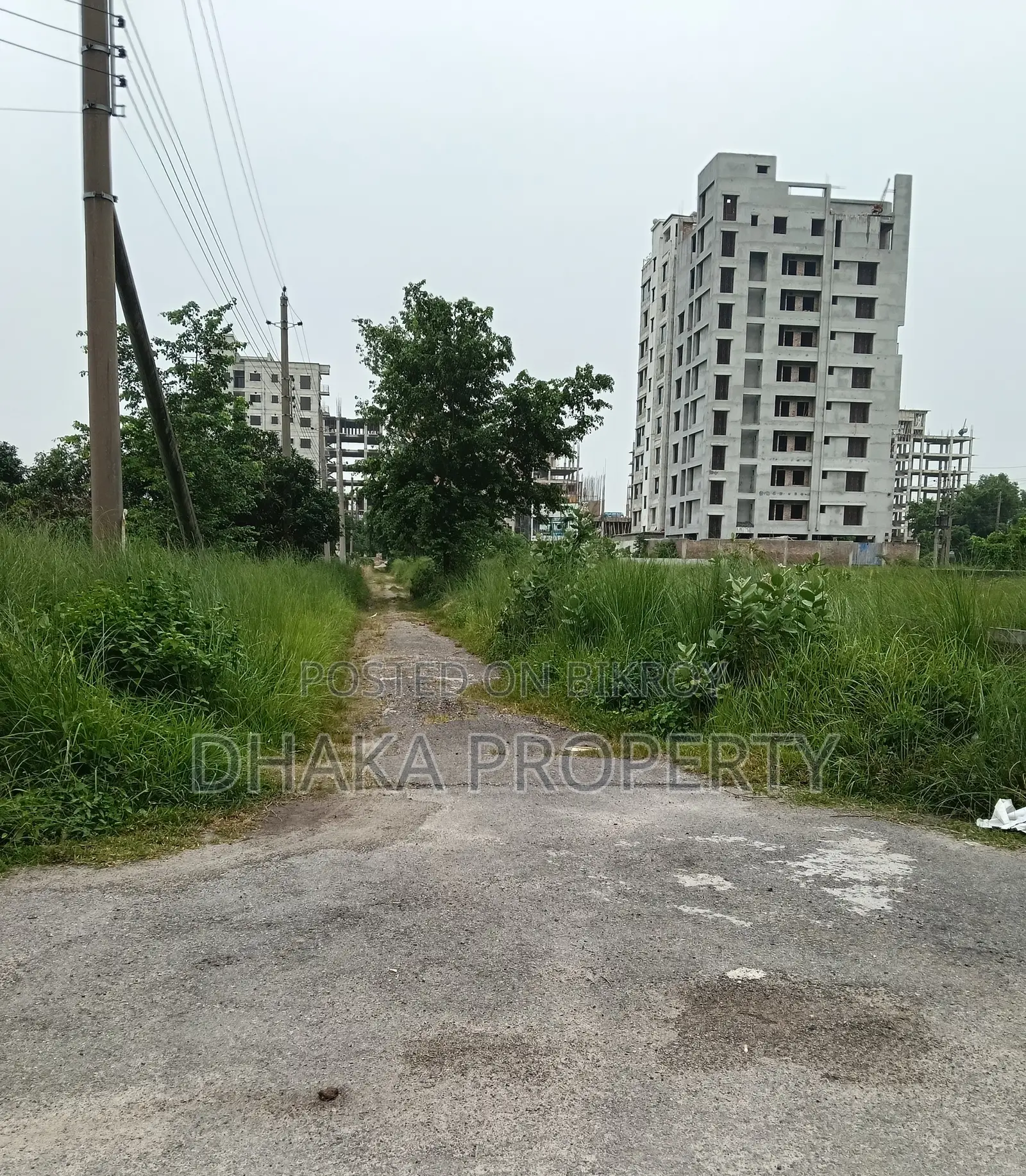34ft Road 5 Katha Park East at Sector-16/A.