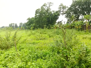 ঢাকার কাছে সিংগাইর এ মাটি ভরাট উচু বড় জমি বিক্রয়