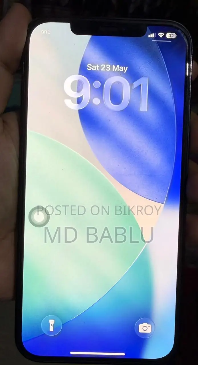 অ্যাপল আইফোন ১২ প্রো ম্যাক্স ২৫৬ জিবি ব্লু