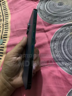 অ্যাপল আইফোন ১২ প্রো ম্যাক্স ২৫৬ জিবি ব্লু