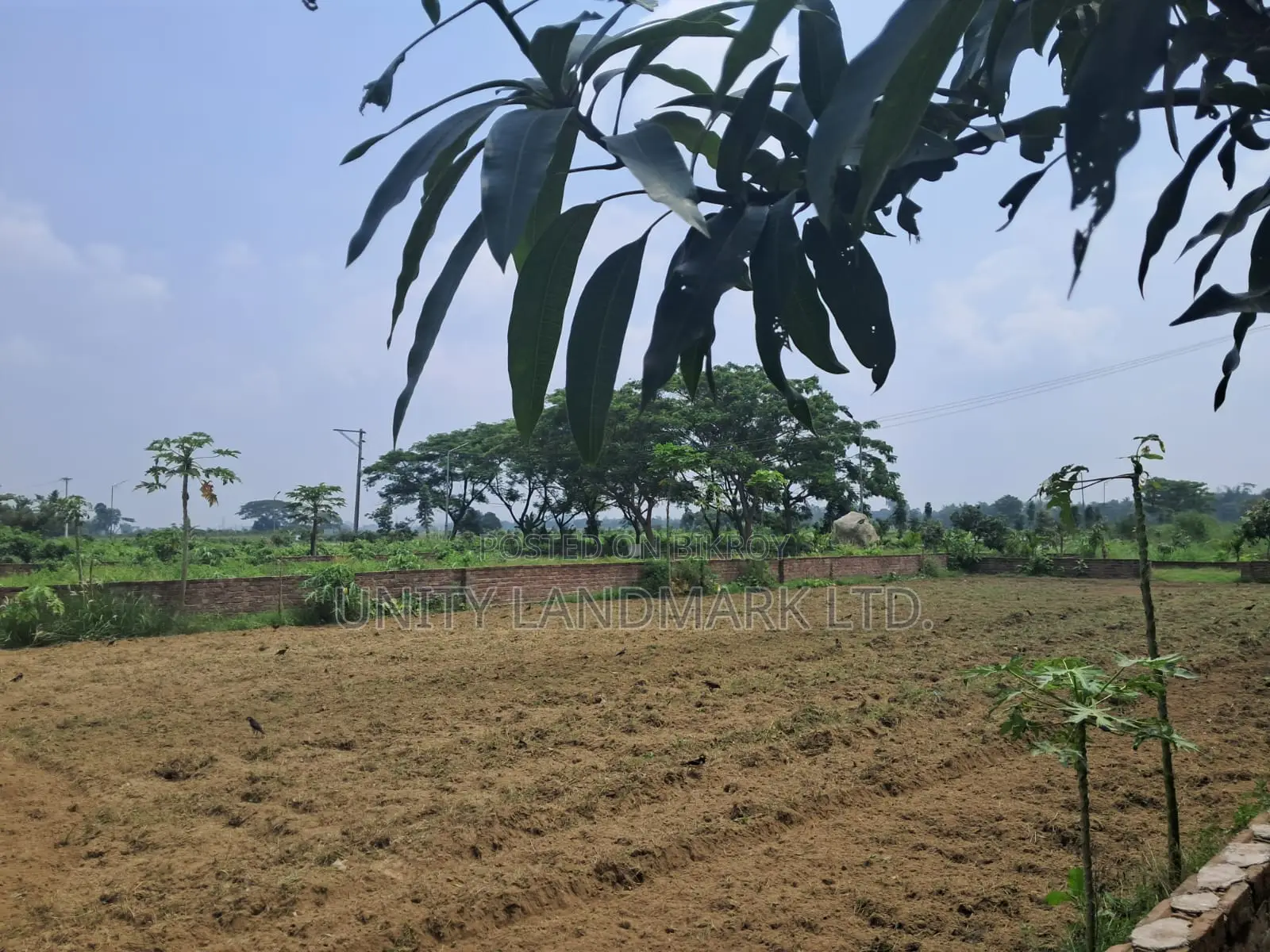 ত্রিভুবন ড্রিমল্যান্ড সিটিতে বিক্রয়ের জন্য ২০ কাঠার প্রিমিয়াম মেগা প্লট