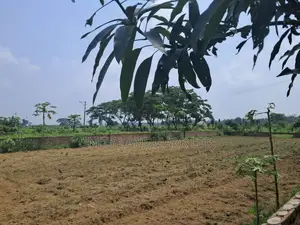 ত্রিভুবন ড্রিমল্যান্ড সিটিতে বিক্রয়ের জন্য ২০ কাঠার প্রিমিয়াম মেগা প্লট