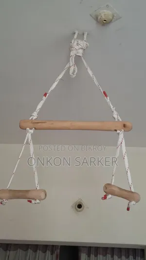 Hanging Gym