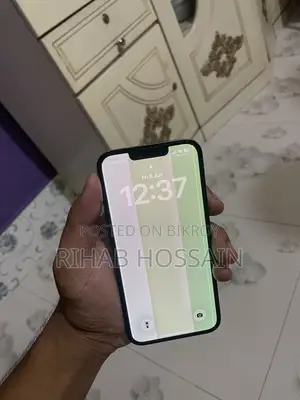 Apple iPhone 13 Pro 256 GB