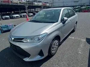 Toyota Axio 2022 Silver