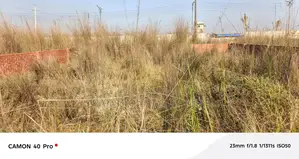 5 Katha plot for sale, Block- P