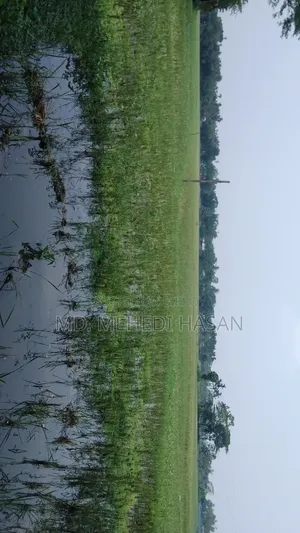 জমি বিক্রয়