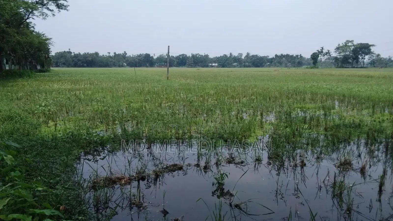 জমি বিক্রয়