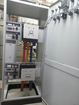 Professional Electrician