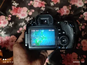 ক্যানন ৬০ডি ৫৫-২৫০ এসটিএম লেন্সসহ