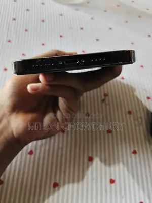 Apple iPhone 12 Pro Max 256 GB Gray