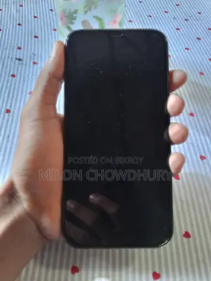 Apple iPhone 12 Pro Max 256 GB Gray