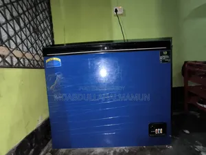 ভিশন ফ্রিজ