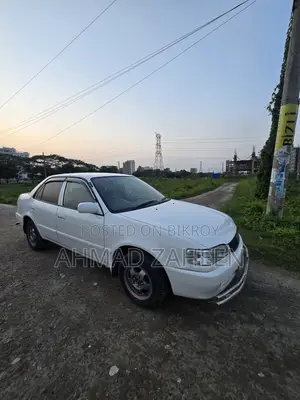 Toyota Corolla Sedan 1999 White