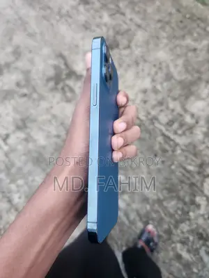 অ্যাপল আইফোন ১২ প্রো ম্যাক্স ২৫৬ জিবি ব্লু