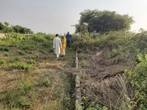 Shares of Sunrise Rose Garden (Shatarkool, Badda)