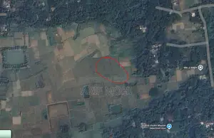 Land for sale below mouza rate