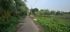 পূর্বাচল ১৫ সেক্টরে,৫৪ ফিট রাস্তায়,৫ কাঠা উত্তরমূখী প্লট বিক্রি