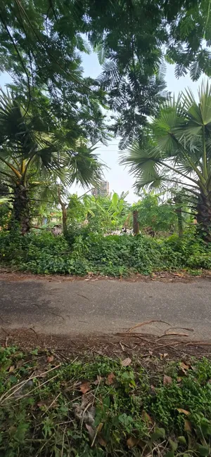 5 Katha North-facing plot for sale in Purbachal Sector 15, on a 54-foot road