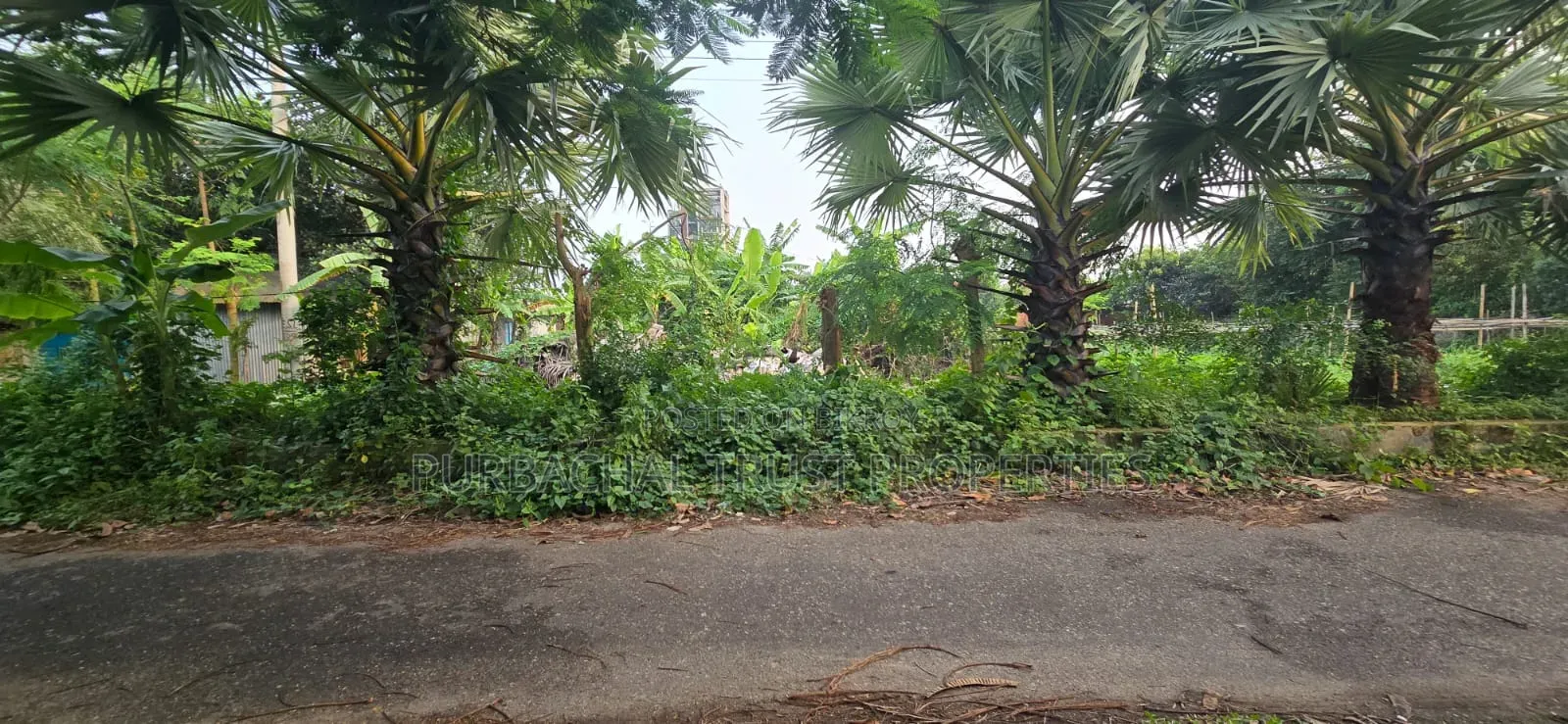 5 Katha North-facing plot for sale in Purbachal Sector 15, on a 54-foot road