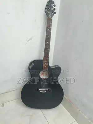 Signature Guitar