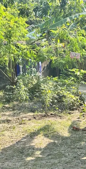 20 Katha Land