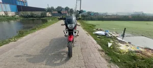 Bajaj Pulsar 150 2010 Red
