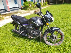 হোন্ডা সিবি ২০১৬ গ্রে