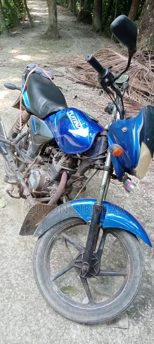 Bajaj Platina 2016 Blue