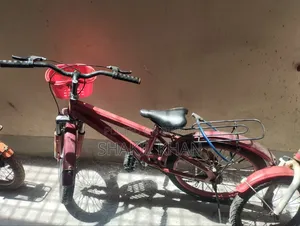 Original Hero Bicycle for Kids