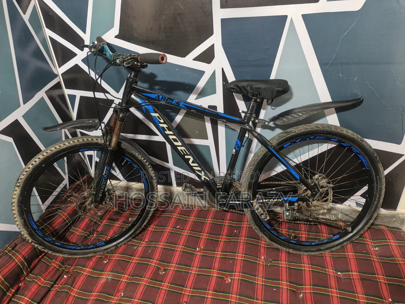 Phoenix Aluminum Cycle 26"