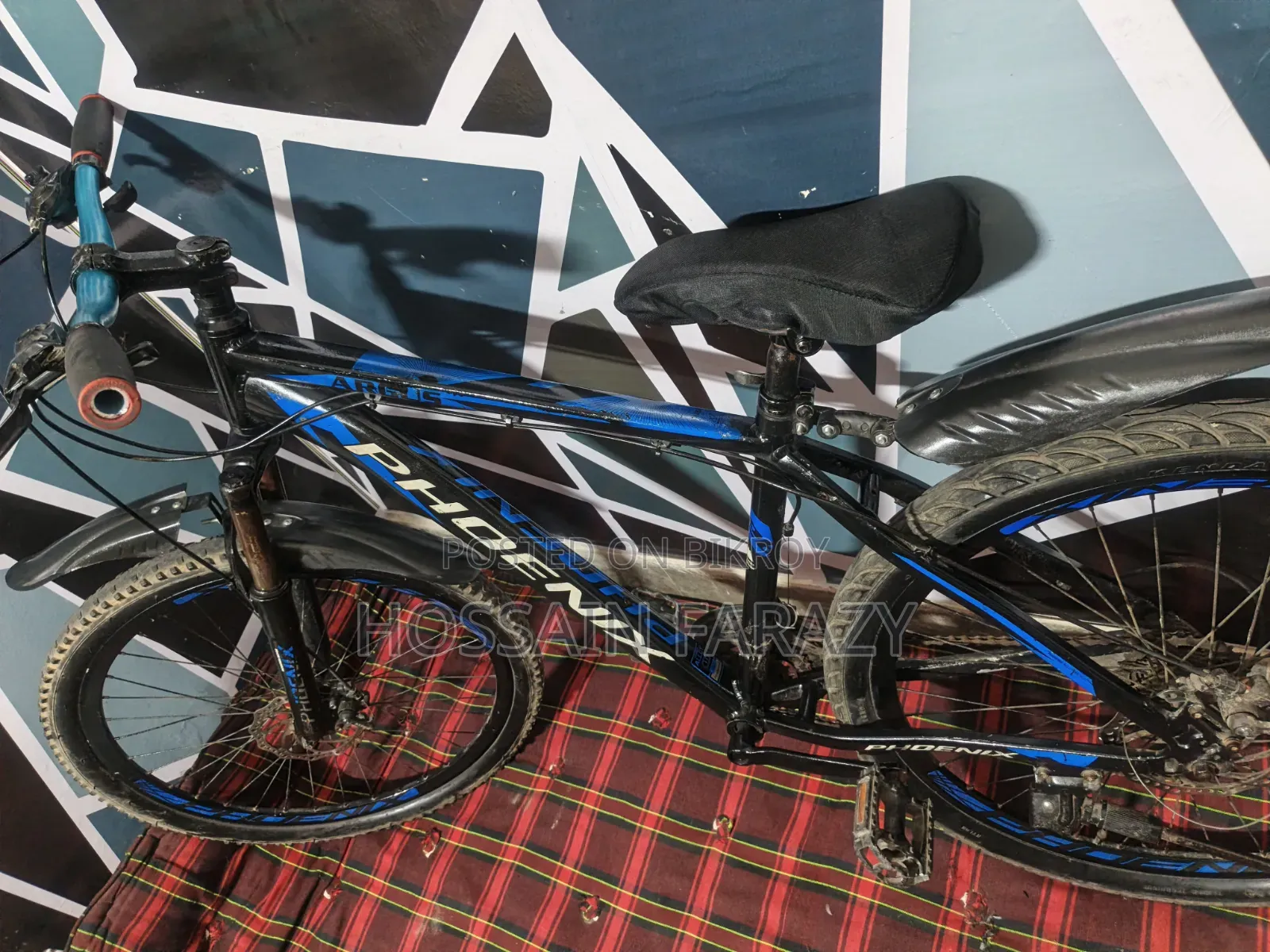 Phoenix Aluminum Cycle 26"