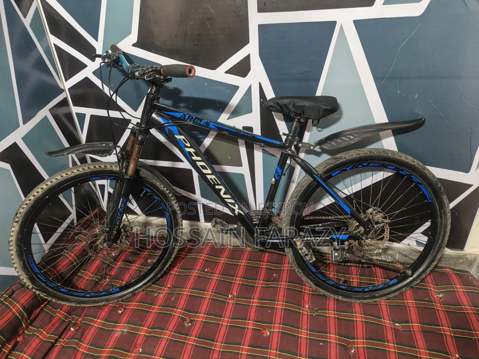 Phoenix Aluminum Cycle 26"