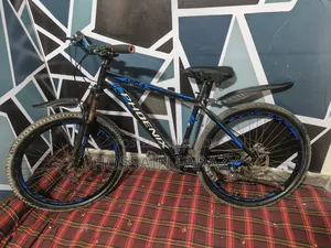 Phoenix Aluminum Cycle 26"