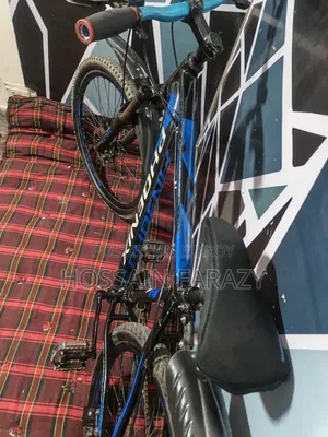 Phoenix Aluminum Cycle 26"