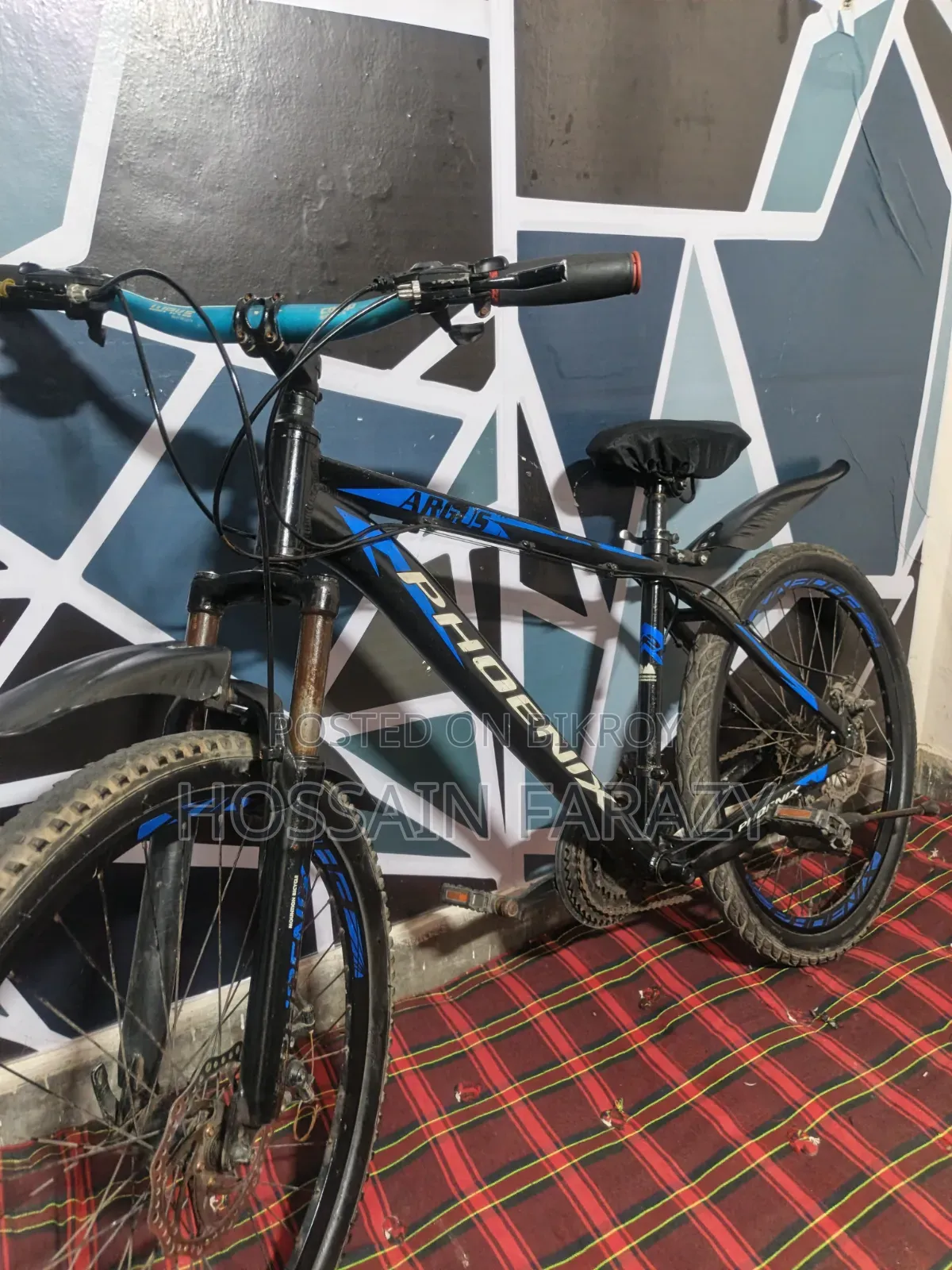 Phoenix Aluminum Cycle 26"