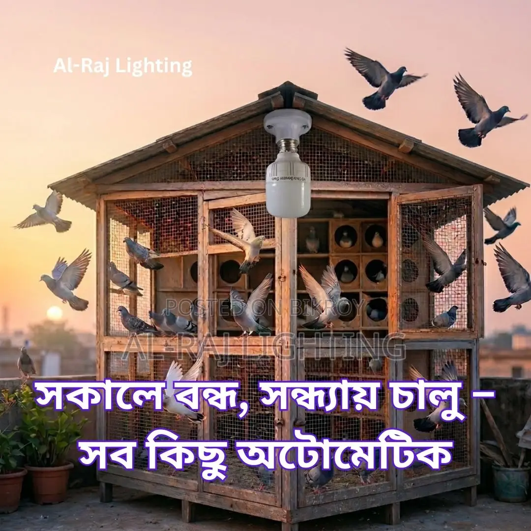 Motion Sensor LED Bulb for Pigeon House | Auto On-Off Smart Light