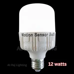 Motion Sensor LED Bulb for Pigeon House | Auto On-Off Smart Light