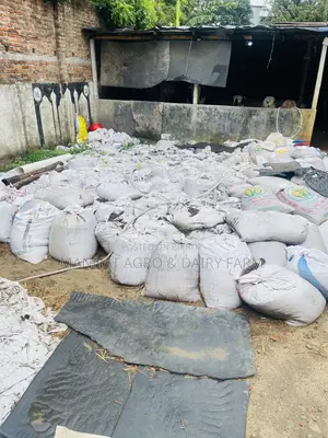 Cow dung for fertilizer